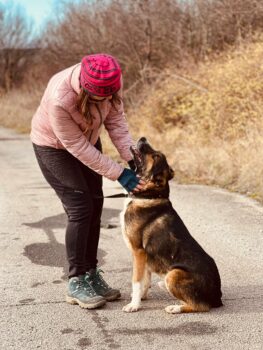 🆘Update März 2025: Riley sucht noch!!! 🆘