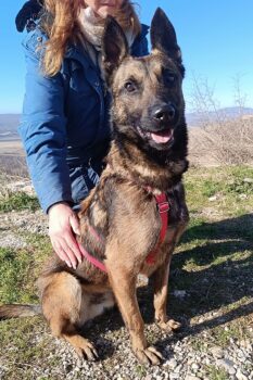 Best Buddy für LIO gesucht! Pflege- oder Endstelle